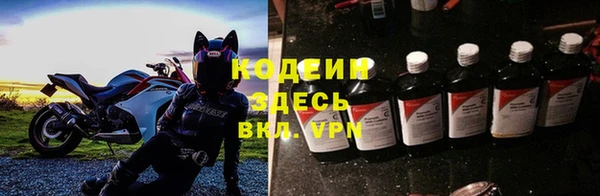 крисы Баксан