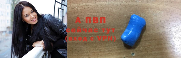 крисы Баксан