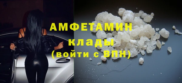 Альфа ПВП Горняк