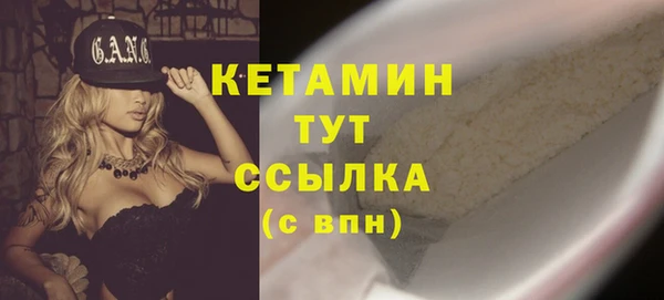 крисы Баксан