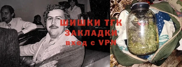 крисы Баксан