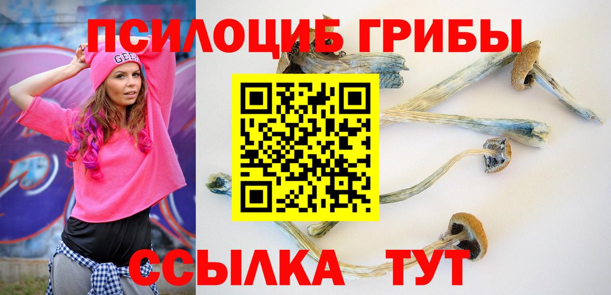 Галлюциногенные грибы Cubensis Барабинск